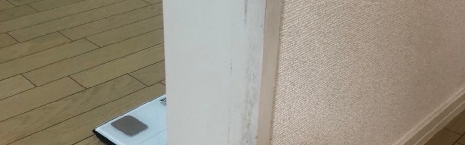 犬・猫ペットによる傷/賃貸退去引っ越し前リペア/埼玉県