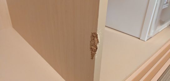 ペットによるかじり傷補修/千葉県市川市